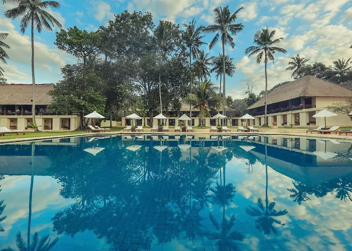 Alila Manggis