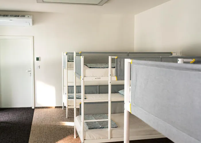 Mild Elephants Hostel