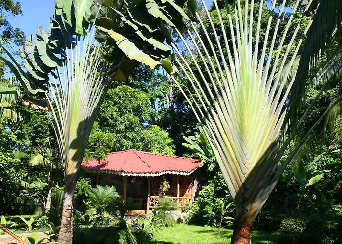 Hotel La Costa De Papito Puerto Viejo de Talamanca