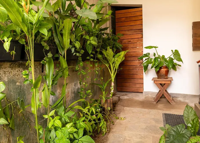 Colombo Eco Lodge, Wellness & Yoga Retreat