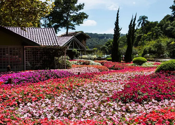 Unique Garden