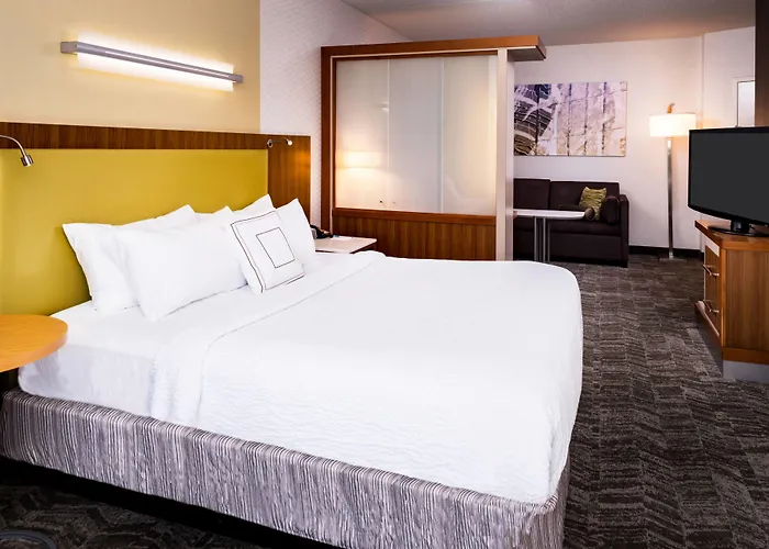 Springhill Suites Pittsburgh Southside Works