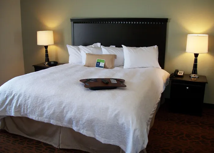 Hampton Inn Pecos