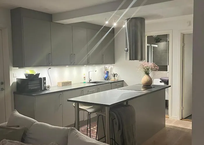 Apartment For Rent