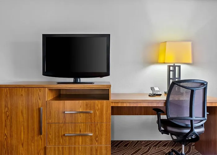 Quality Inn & Suites San Antonio Airport - Stone Oak