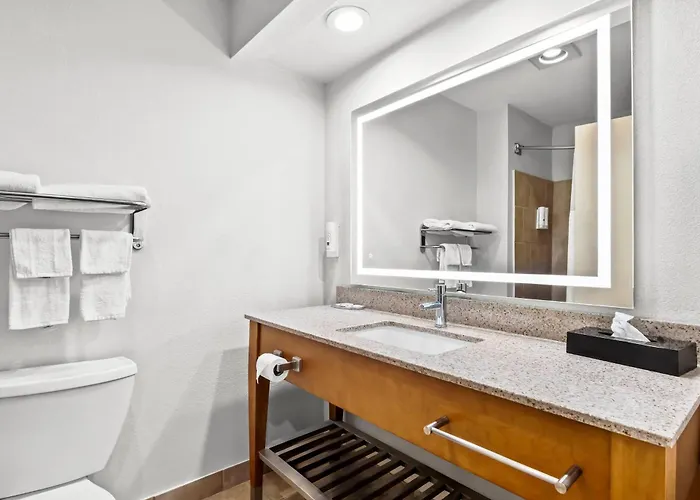 Quality Inn & Suites San Antonio Airport - Stone Oak
