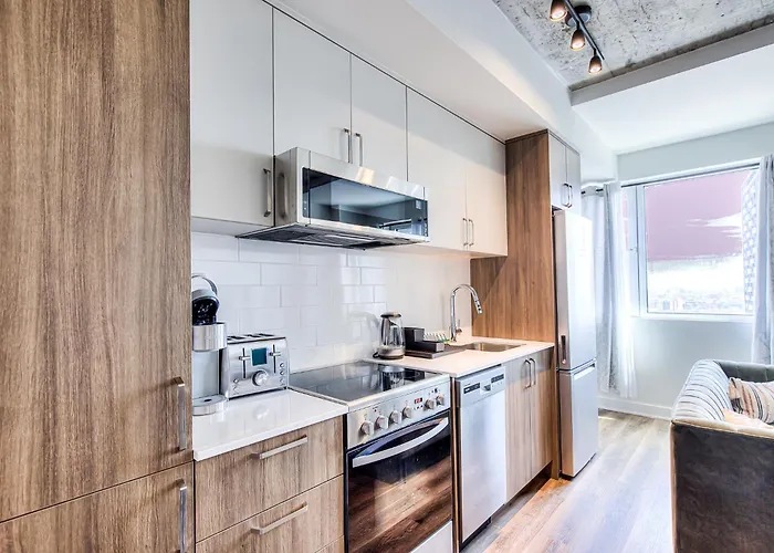 Executive Class Apartments With Gym Vip & Students In Downtown Mtl Dawson Concordia Mcgill
