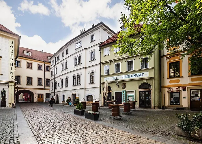 Hotel Metamorphis