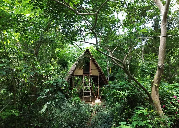 Ecocio Explorations