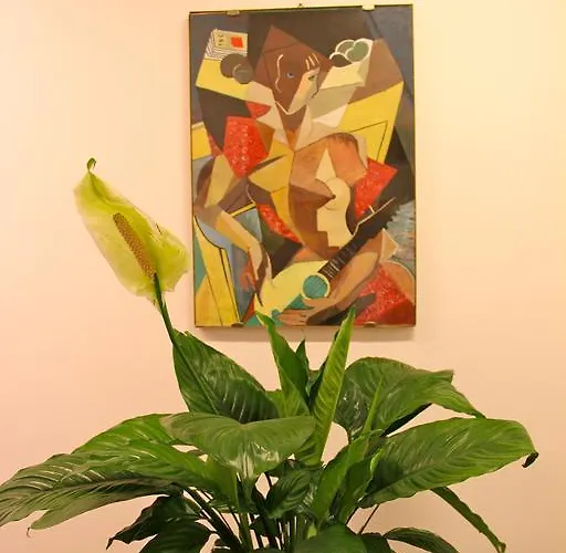 Lo Studio Guest House Roma