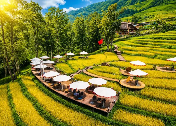 Mt House Sa Pa - Mountain & Terraced Fields View And Trekking Tour Apartment