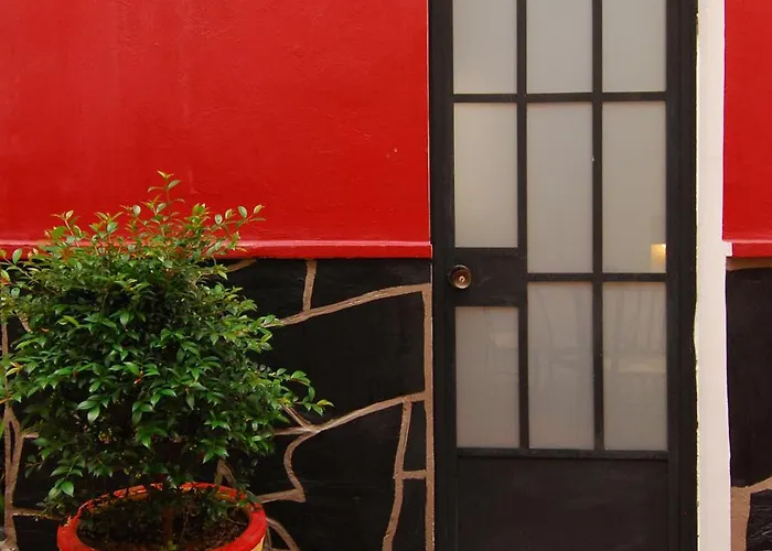 Olga Querida B&B Hostal